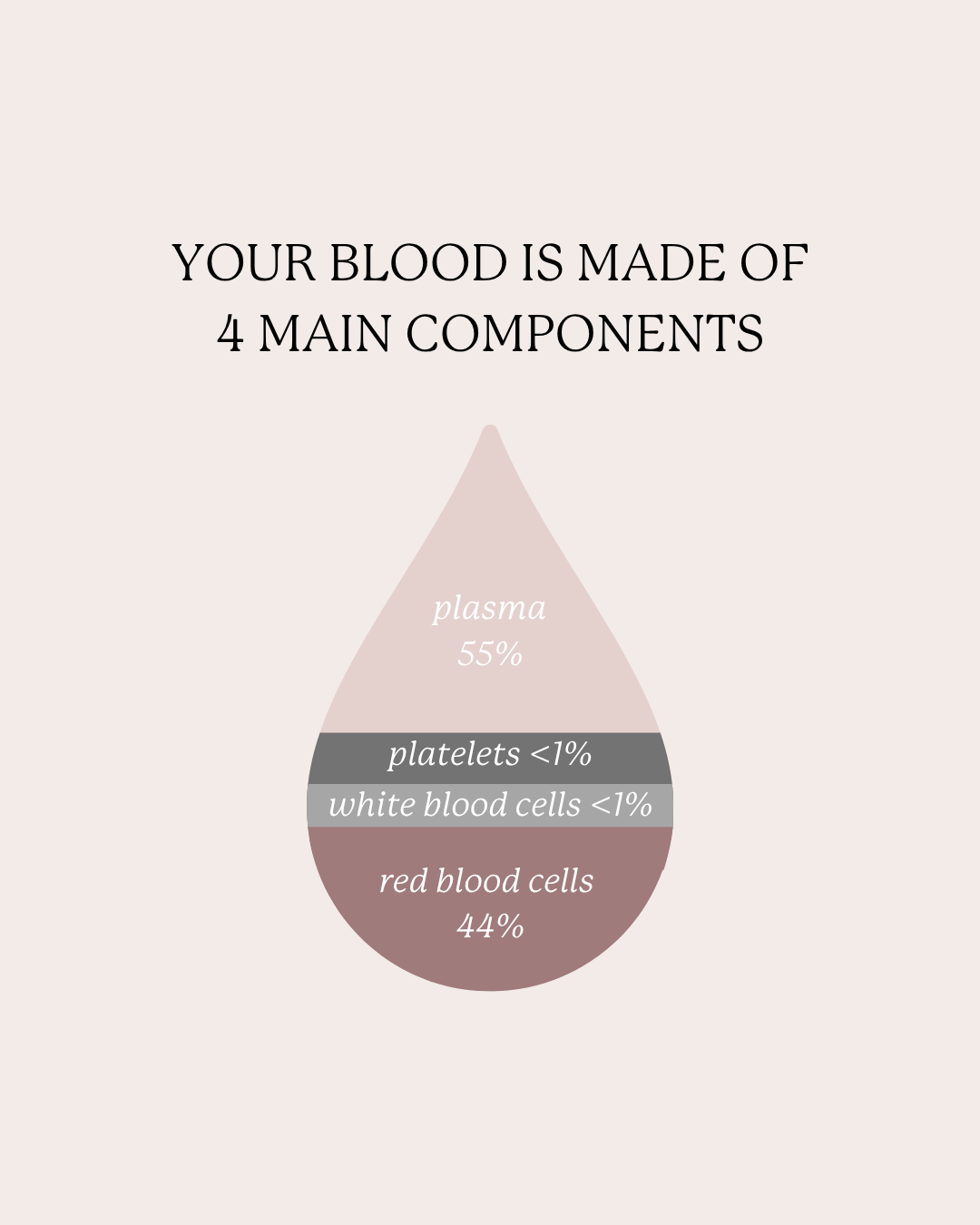 Illustration showing the four main components of blood: plasma (55%), red blood cells (44%), white blood cells (